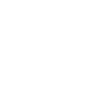 FF Studio